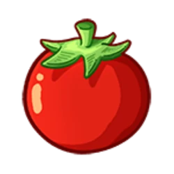 Tomatoe´s Box